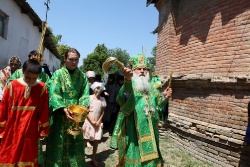 ����������� 174